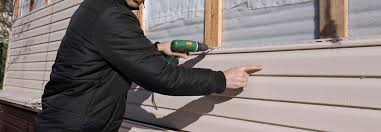 Best Vinyl Siding Installation  in Victoria, MN